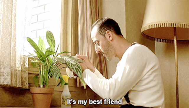 leon-plant.gif.7b0b2190591a1bdb69969b09decf3dbf.gif