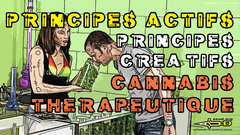principes actifs