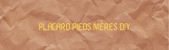 placo pm diy
