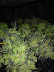 20201204_203738.jpg