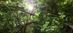 20201208_221017.jpg