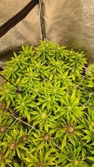 20201209_221733.jpg