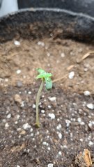 20201215_192349.jpg