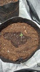 20201215_192420.jpg