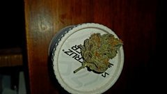 20201231_094721.jpg