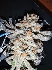 IMG-20201228-WA0001.jpg