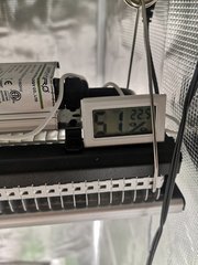 Temp