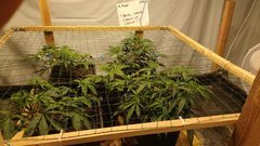 IMG_20201205_182117142.jpg