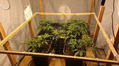 IMG_20201205_182157913.jpg