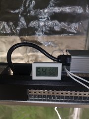 Temp