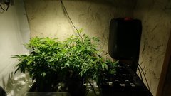 IMG_20201220_152051761.jpg