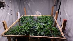 IMG_20201220_152202267.jpg