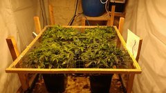 IMG_20201220_152210261.jpg