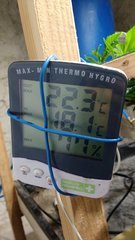 IMG_20201220_152346727.jpg