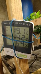 IMG_20201220_152351589.jpg
