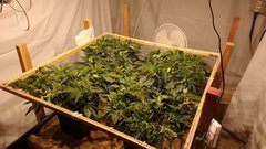 IMG_20201220_153332508.jpg