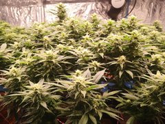 IMG_20201223_215857.jpg