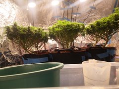 IMG_20201223_220055.jpg