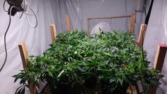 IMG_20201228_155358629.jpg