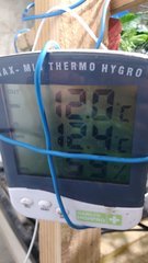 IMG_20201228_170917429.jpg