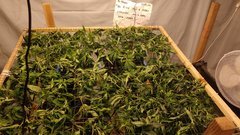 IMG_20201228_172035619.jpg