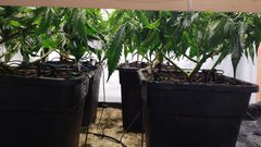 IMG_20201228_172134665.jpg