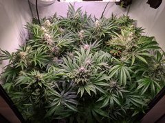 PXL_20201219_201703941.jpg