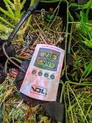 PXL_20201219_201722757.jpg
