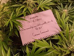 PXL_20201219_202502793.jpg