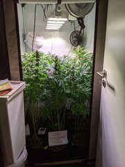 PXL_20201219_202519802.jpg