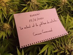 PXL_20201225_201508416.jpg