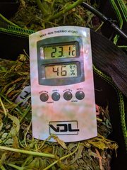 PXL_20201225_201821616.jpg