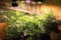 batch_IMG_9113.JPG
