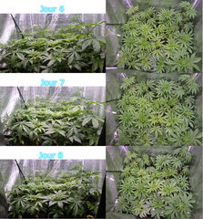 timelaps1.jpg