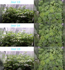 timelaps1315.JPG