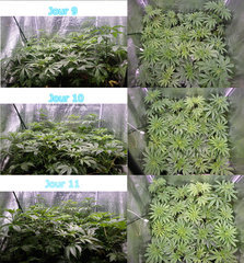 timelaps2.jpg