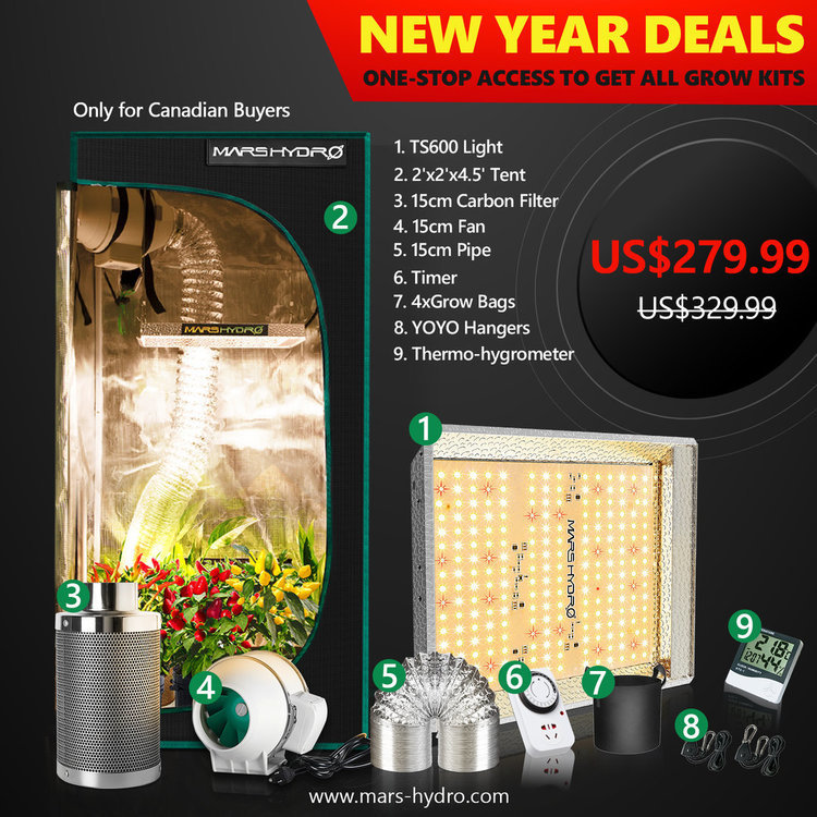 TS 600 led grow light- 2x2 grow tent kit- Mars Hydro.jpg