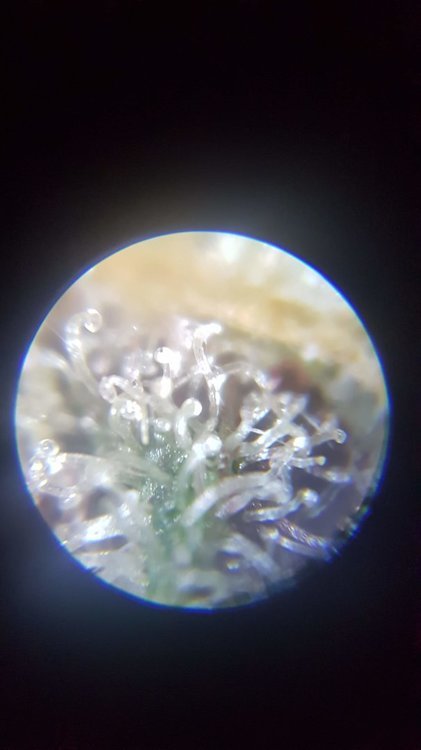 20210113_190349.jpg