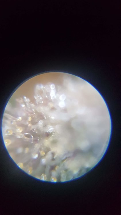 20210113_190702.jpg