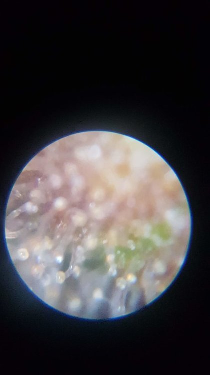 20210113_190852.jpg