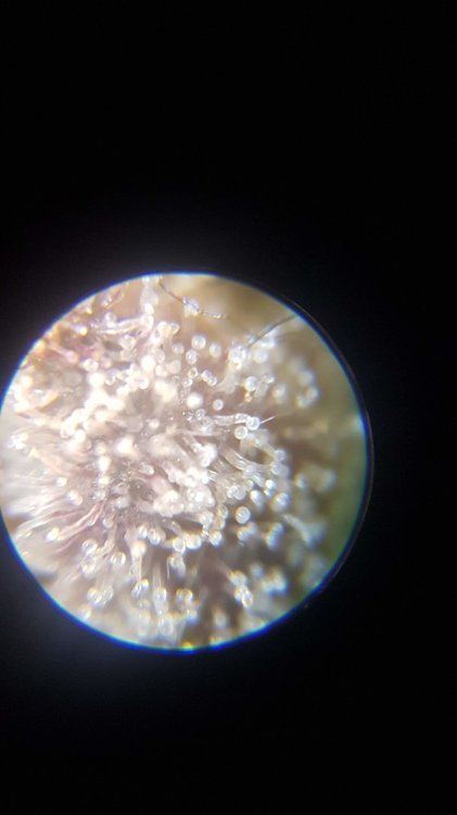 20210113_193356.jpg