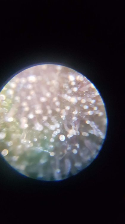 20210113_193730.jpg