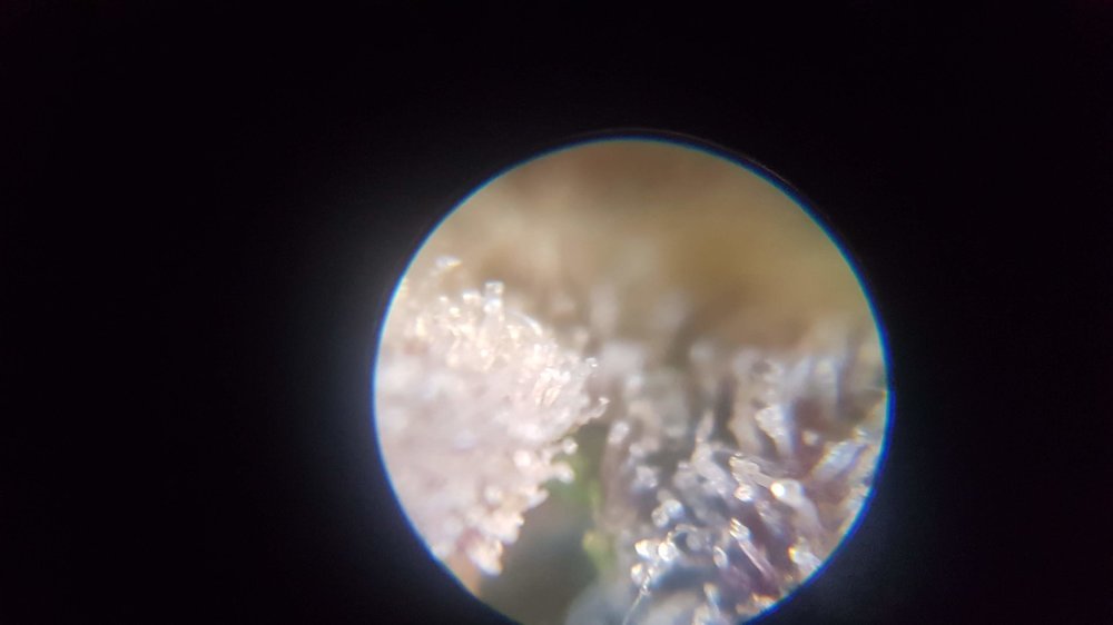 20210113_194133.jpg