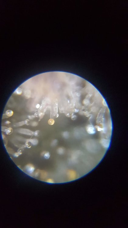 20210113_195017.jpg