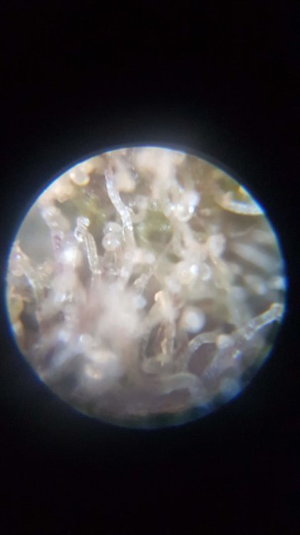 20210113_195112.jpg