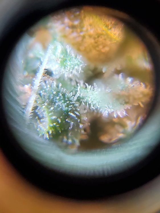 20210129_211207.jpg