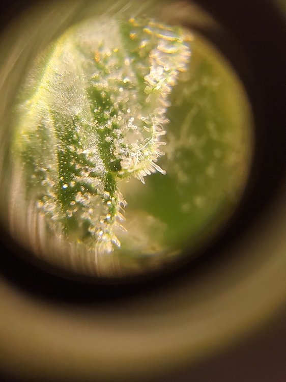 20210129_211334.jpg