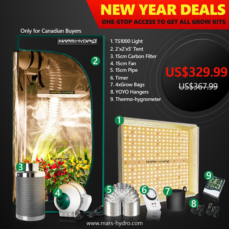 mars hydro TS 1000 led grow light-2x2 grow tent kits- Mars Hydro.jpg