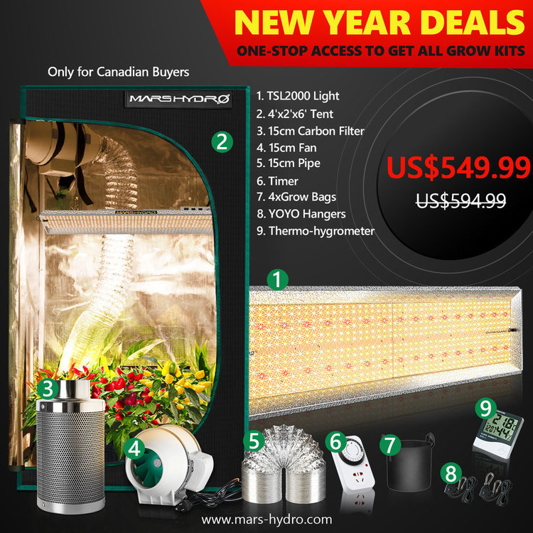 mars hydro TSL 2000 led grow light- 2x4 grow tent kit-mars hydro.jpg