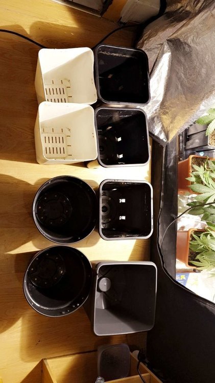 Snapchat-1359305762.thumb.jpg.624a6c49cbe31014c75775c8e69170b5.jpg